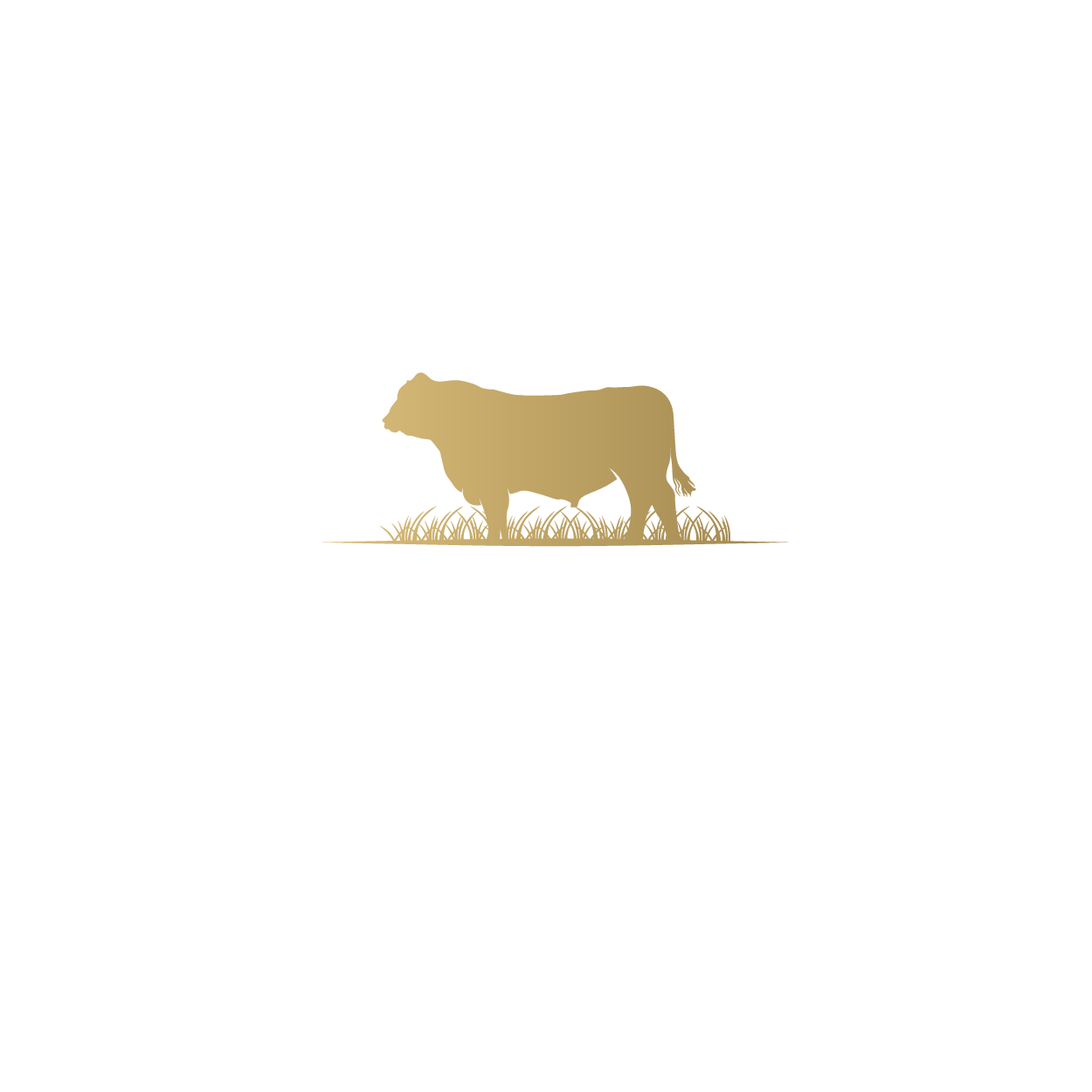 Logo Holsteins